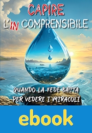 Capire l'incomprensibile ebook