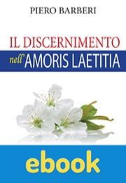 Il discernimento nell’Amoris Laetitia ebook