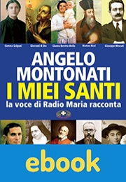 I miei santi ebook