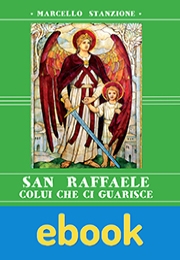 San Raffaele ebook